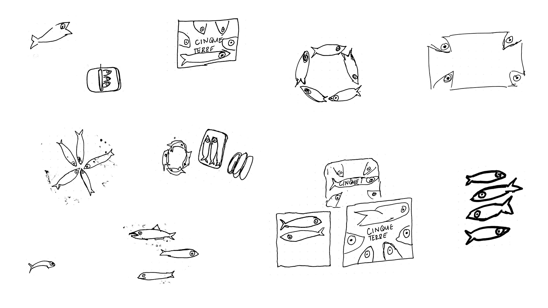 Sketches of anchovies