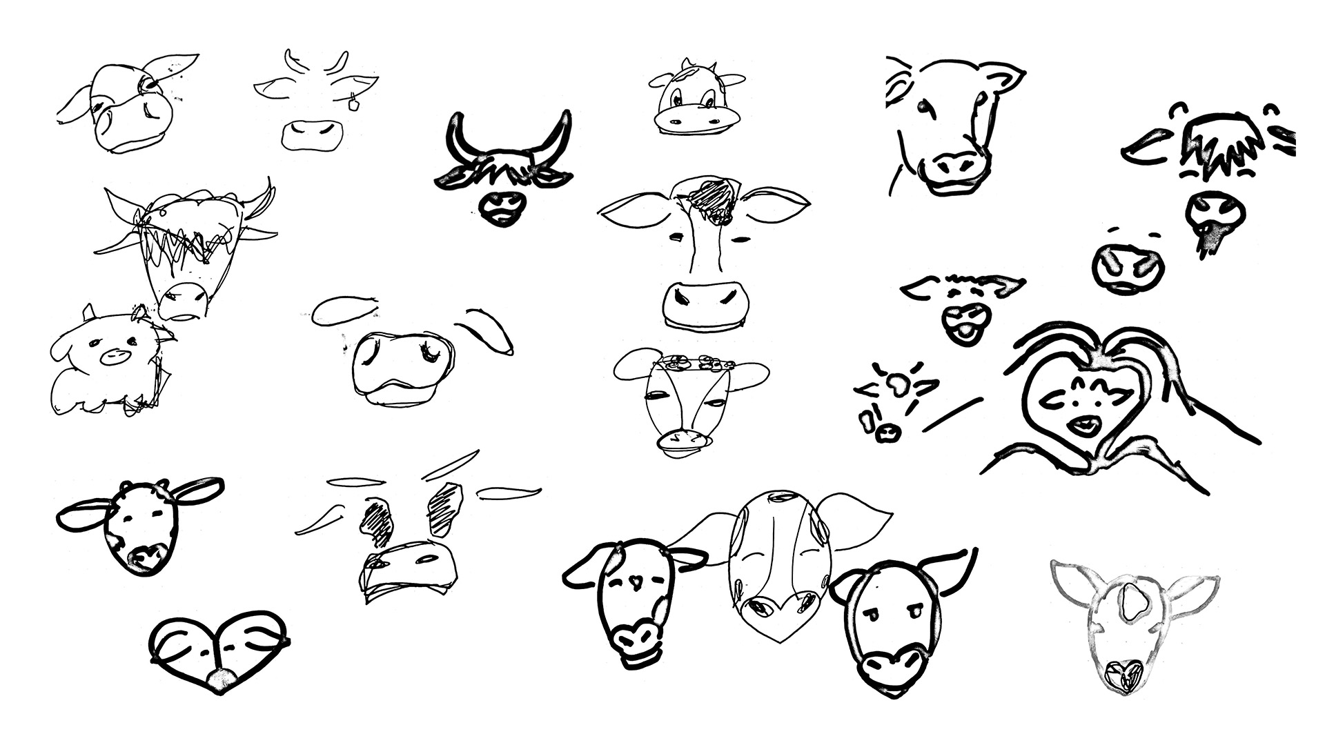 Sketches of cows