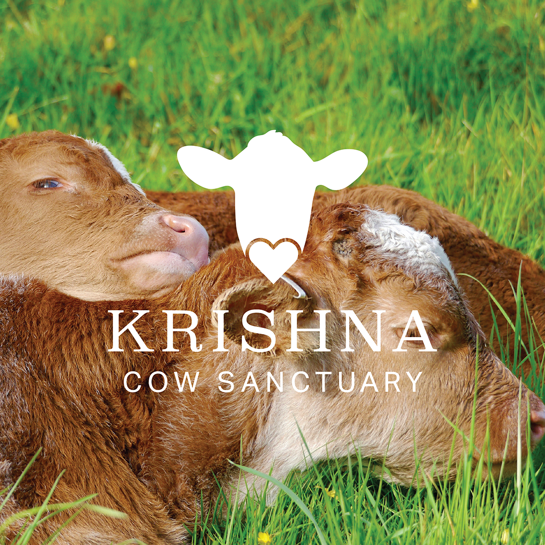 krishna logo
