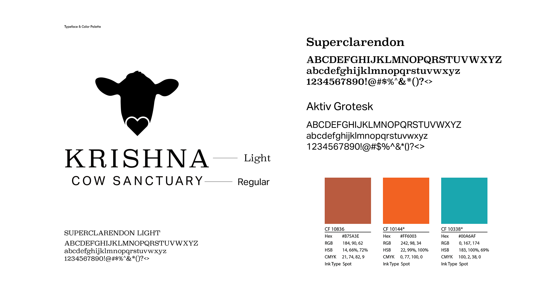 Image of typefaces and colors used for the logo